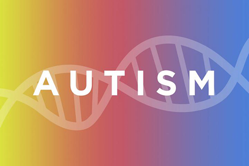 Scientists, led by a team at Washington University School of Medicine in St. Louis, have linked mutations in a single gene to autism in people with neurofibromatosis type 1. The findings may lead to a better understanding of the genetic roots of autism in the wider population. [Michael Worful]