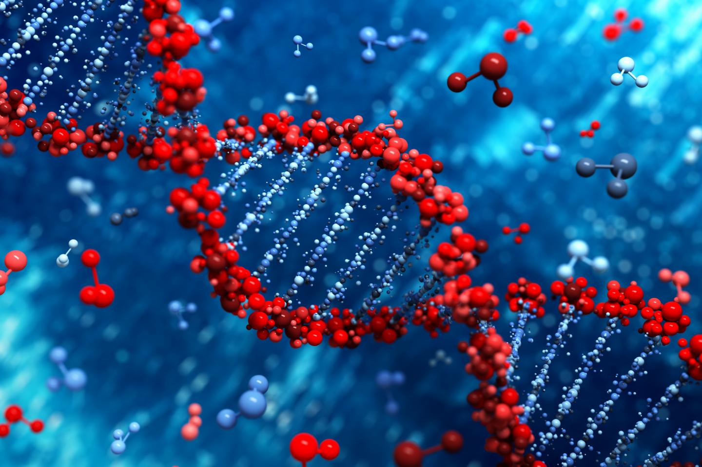 DNA, the stuff of life, may very well also pack quite the jolt for engineers trying to advance the development of tiny, low-cost electronic devices. [ASU]