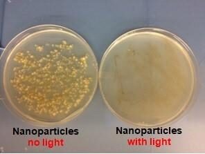 Bacteria with nanoparticle photosensitizers grow before illumination (left), but are killed after illumination (right) as oxygen is activated. [Source: Peng Zhang]