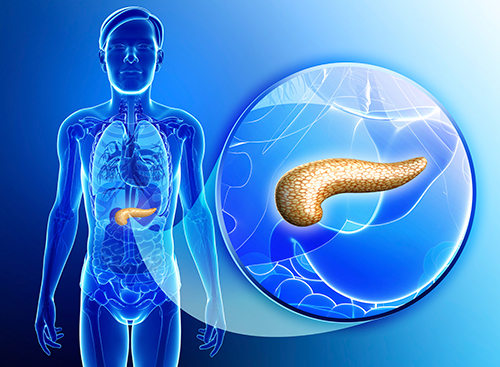 New research has shown that pancreatic cancer cells can be coaxed to revert back toward normal cells by introducing a protein called E47.