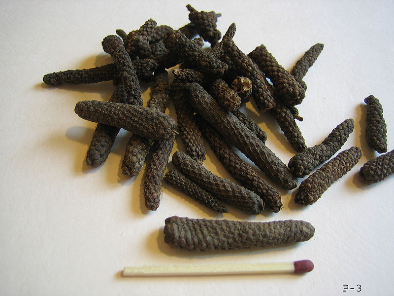 Dried Indian long pepper catkins. [WikiCommons]