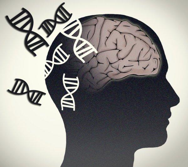 New study describes genetic commonalities among various psychiatric disorders. [Jonathan Bailey, NHGRI]