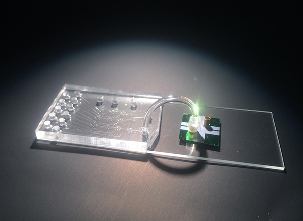 This hybrid device integrates a microfluidic chip for sample preparation and an optofluidic chip for optical detection of individual molecules of viral RNA. [Joshua Parks]