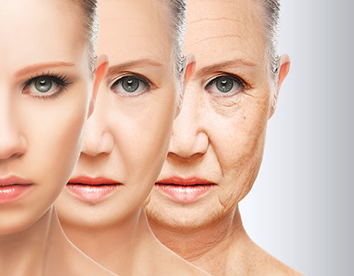 Scientists have discovered a group of six proteins that may help to divulge secrets of how we age. [iStock/evgenyatamanenko]
