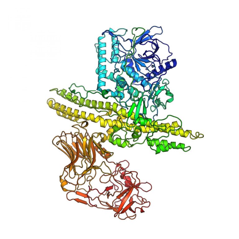 Novel Botulinum Neurotoxin May Treat Range of Medical Disorders