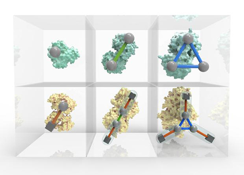 A new periodic table presents a systematic, ordered view of protein assembly, providing a visual tool for understanding biological function. [EMBL-EBI / Spencer Phillips]