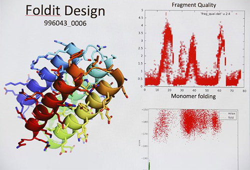 Volunteer citizen scientists around the world participate in research on protein structure prediction through the computer program Foldit. [Institute for Protein Design/University of Washington]