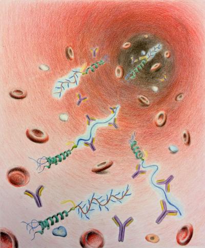 An artistic rendering of a new drug delivery system created by Stacey Qi, first author on the paper. The technology updates a popular delivery method that uses polyethylene glycol (PEG) to extend a drug's life by creating a new, shorter version featuring many bristles to avoid PEG antibodies. The drawing depicts troublesome antibodies (purple Ys) attacking the conventional PEG technology while leaving the modified version alone. [Stacey Qi, Duke University]
