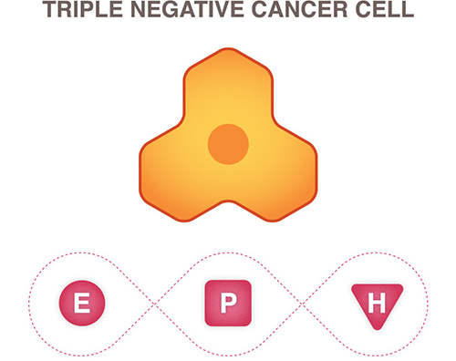 New research uncovers why attempts at blocking microRNAs for triple negative breast cancer often fail. [National Breast Cancer Foundation]