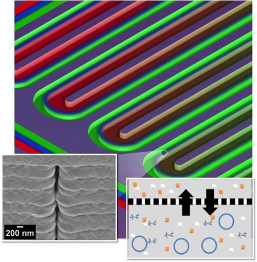 This section of a serpentine channel reactor shows the parallel reactor and feeder channels separated by a nanoporous membrane. At left is a single nanopore viewed from the side; at right is a diagram of metabolite exchange across the membrane. [ORNL]