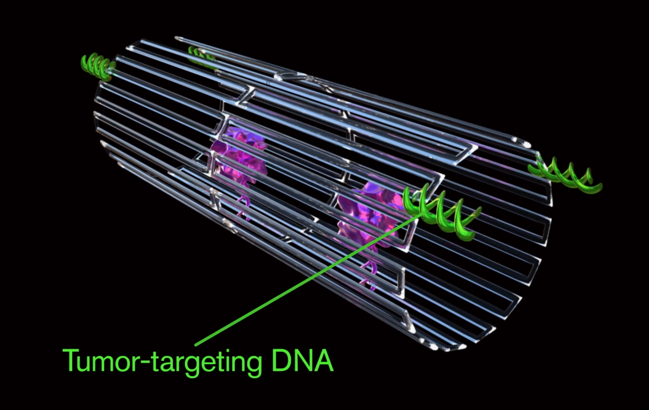 Fully Autonomous Dna Nanorobots Target And Starve Tumors In Mice 8309