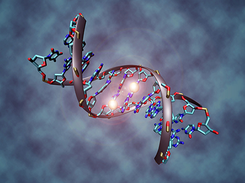 Investigators say that DNA methylation can provide effective markers for at least four major cancers. [Christoph Bock/Max Planck Institute for Informatics]