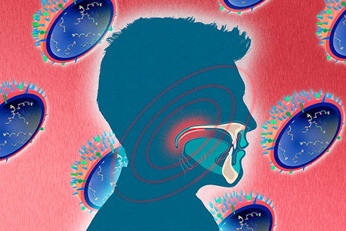 The soft palate — the soft tissue at the back of the roof of the mouth — plays a key role in the flu viruses’ ability to travel through the air. In this illustration, the soft palate is highlighted red. In the background are renderings of the flu virus. [Jose-Luis Olivares/MIT. Flu Virus illustrations courtesy of National Institute of Allergy and Infectious Diseases/NIH.]