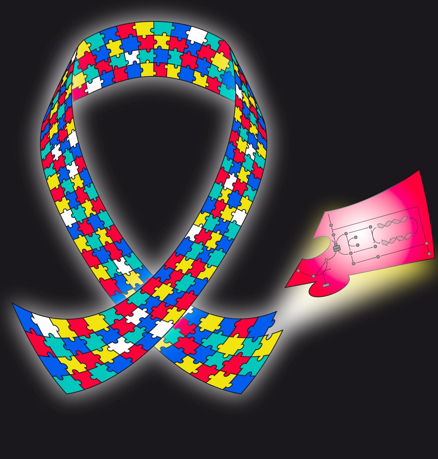The autism awareness ribbon symbolizes the diverse experiences of people and families living with ASD. Here, it also represents the various genetic and environmental effects on the pathophysiology of ASD. The white pieces represent currently unknown effects. However, the red piece illustrating folate-dependent one-carbon metabolism and transsulfuration contributes important information to our knowledge of ASD. [Daniel P. Howsmon/CCBY]
