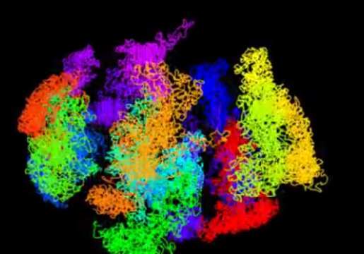 Intact genome from one particular mouse embryonic stem cell. Each of the cell’s 20 chromosomes is colored differently. [University of Cambridge and MRC Laboratory of Molecular Biology]