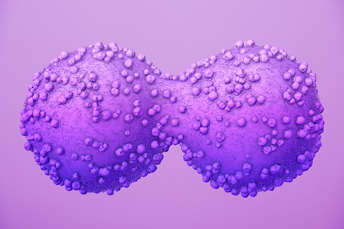 An artist’s interpretation of a cancer cell dividing. [MIT]