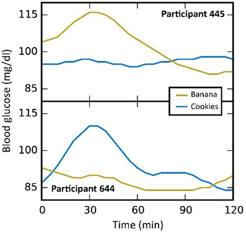 The Personalized Nutrition Project found that study participants had strikingly different responses to identical foods. In participant 445 (top), blood sugar levels rose sharply after eating bananas but not after cookies of the same amount of calories. The opposite occurred in participant 644 (bottom). [Weizmann Institute of Science]
