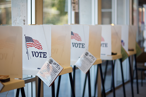 Voters will set the direction of research funding and issues ranging from drug costs to marijuana. [hermosawave/Getty]