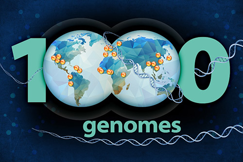 The 1000 Genomes Project Consortium has created the world's largest catalog of genomic differences among humans. The catalog encompasses the genomes of 2,504 individuals from 26 populations across Africa, East and South Asia, Europe, and the Americas. [Ernesto Del Aguila III]