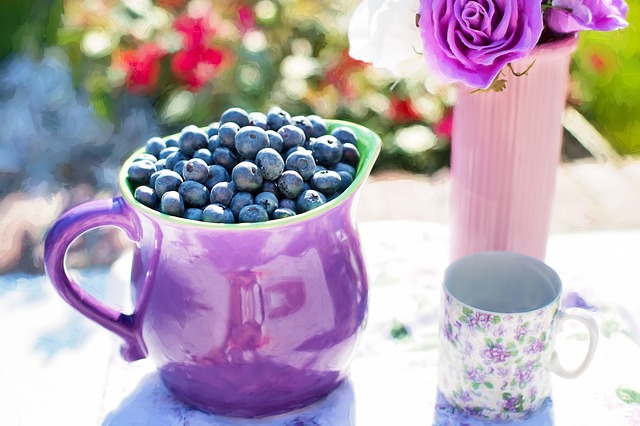 New study finds that drinking concentrated blueberry juice improves brain function in older people. [Pixabay]