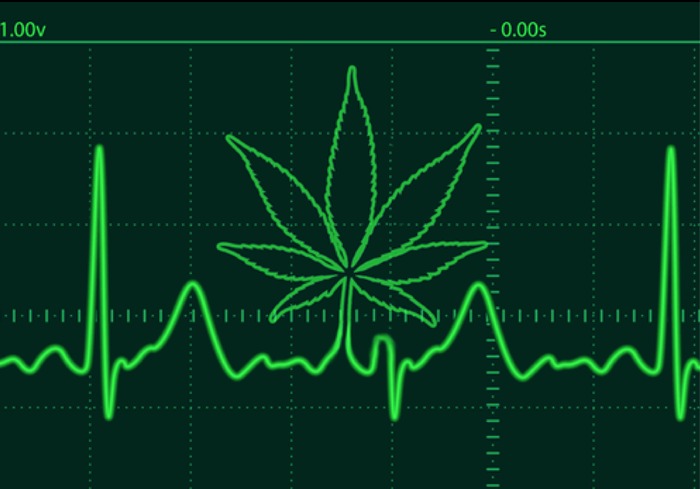 New study shows that marijuana use is associated with a three-fold risk of death from hypertension. [NIH]