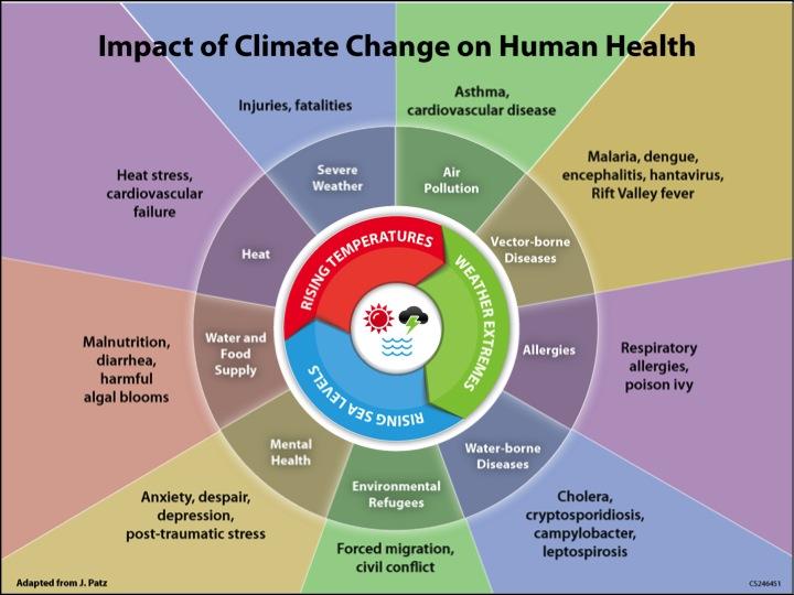 New study findings could help policy makers prioritize the surveillance for pathogens that may respond to climate change and, in turn, contribute to strengthening climate change resilience for infectious diseases. [NIH]