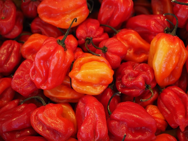 Researchers found that capsaicin, the active ingredient in spicy peppers, inhibits the growth of breast cancer cells. [Pixabay]