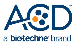 ACD Bio a biotechne brand