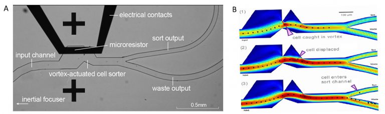 Application Note: Vortex-Actuated Cell Sorting for New Research and Clinical Applications