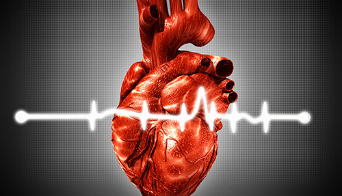 The New Paradigm in Cardiac Toxicity Testing