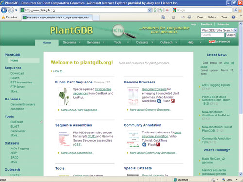 Plant GDB