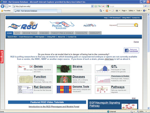 RGD-Rat Genome Database