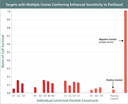 Managing Scale-Up of Recombinant Proteins