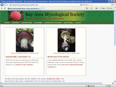Mushroom Dehydrators - Bay Area Mycological Society