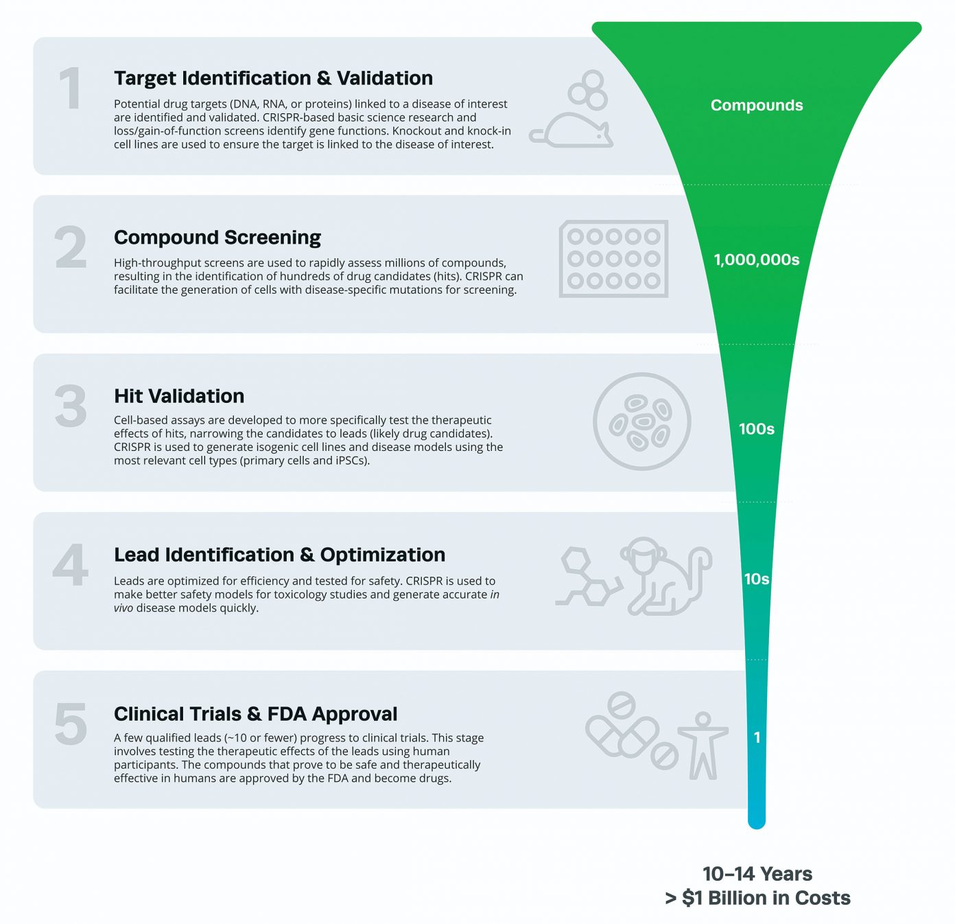 Details target id. Targeted drug delivery. Discovery в Temp. Опыт работы скрин. Validation (drug manufacture).