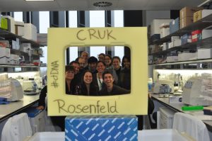 Members of the Rosenfeld Lab