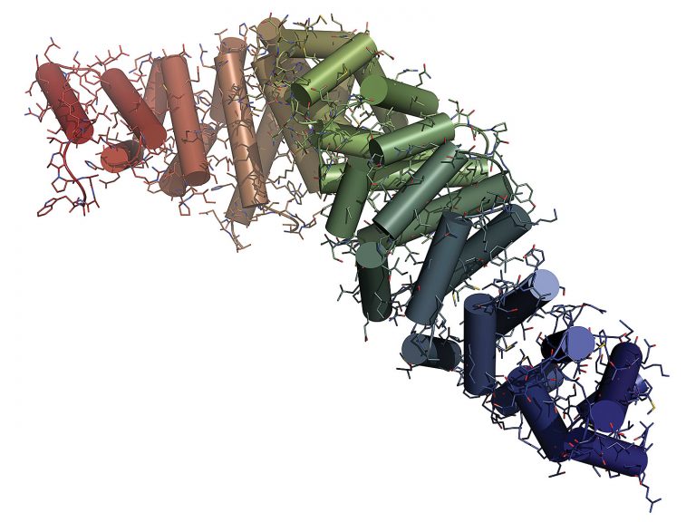 Recombinant Proteins