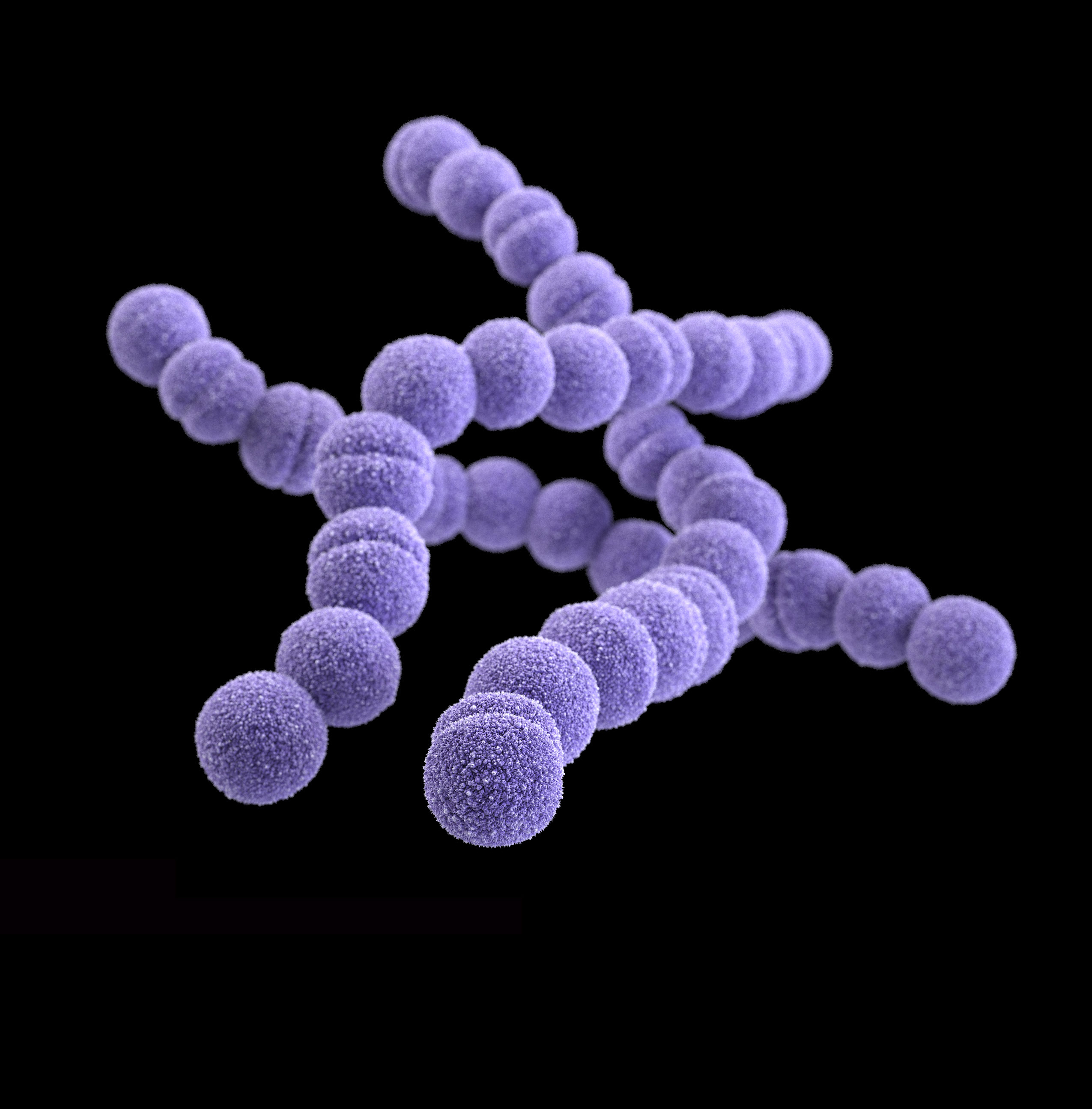 FleshEating Bacteria’s Genomic/Transcriptomic Trigger Found