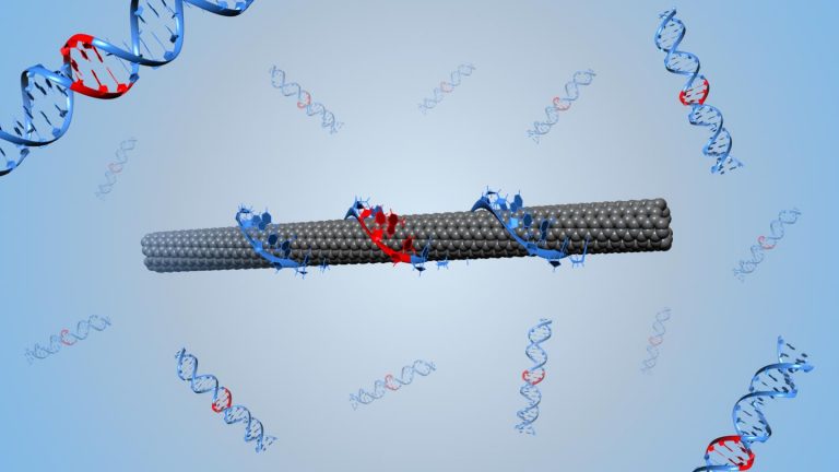 Nanoparticle-Based Optical Biosensors Created via Directed Evolution