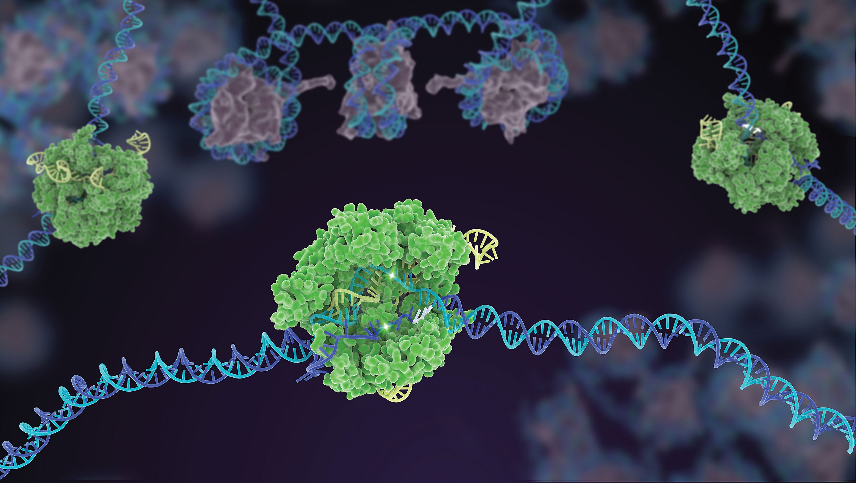 Novel CRISPR-Cas9 Variants  Generated by Diverse Means