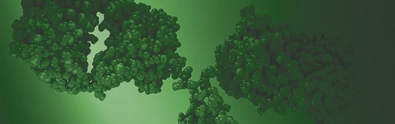 Accelerating the Discovery of Therapeutic Antibodies Using High Throughput SPR