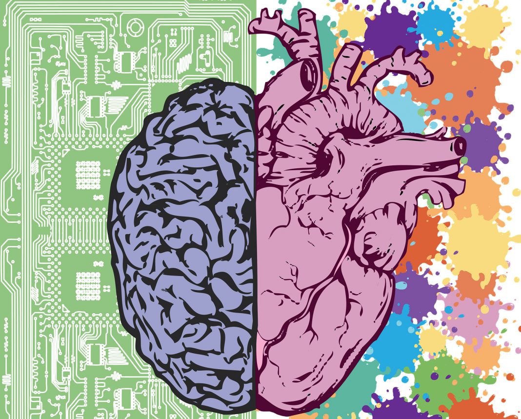 brain heart connection