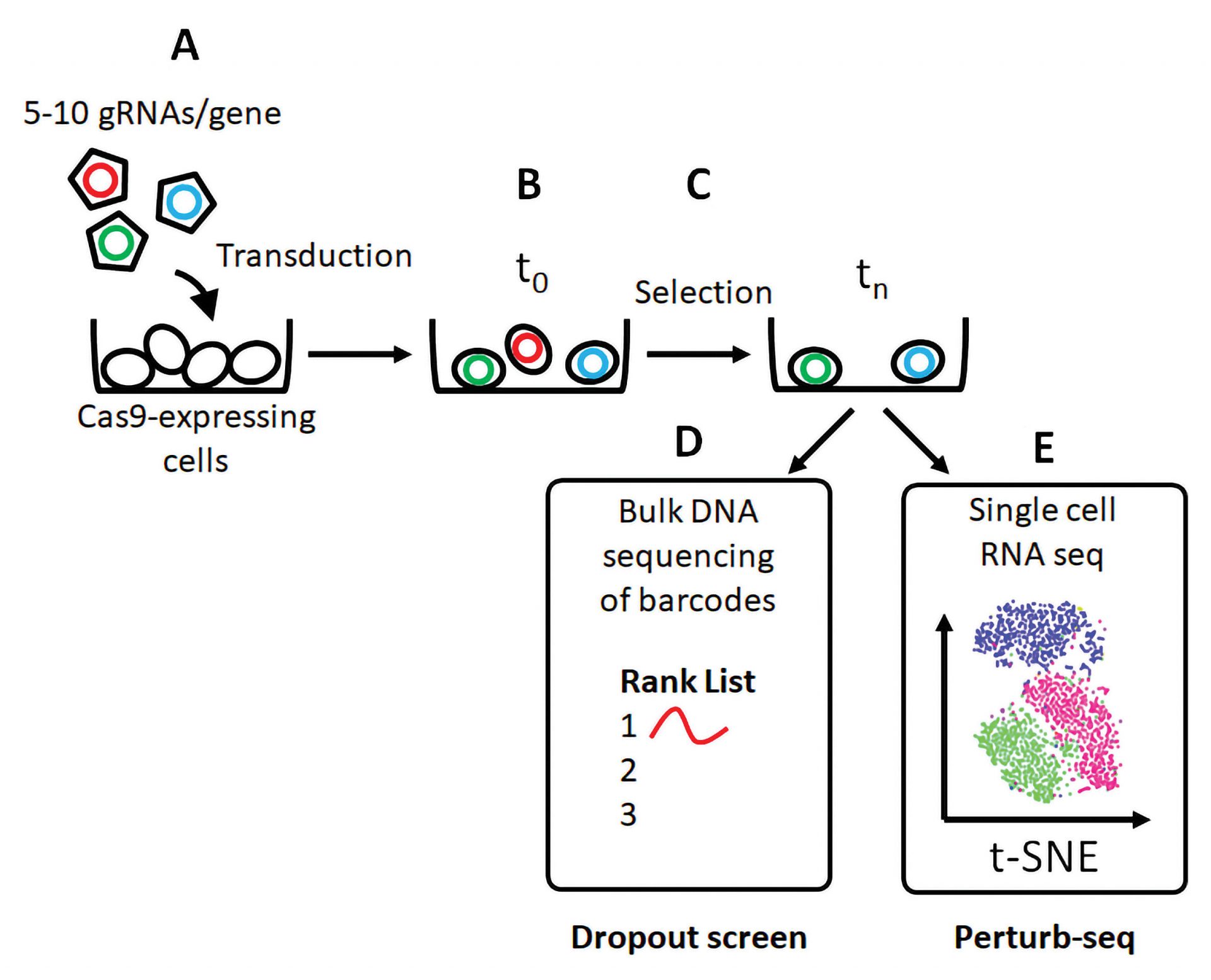 CRISPR Screens: The Right Tool For The Job