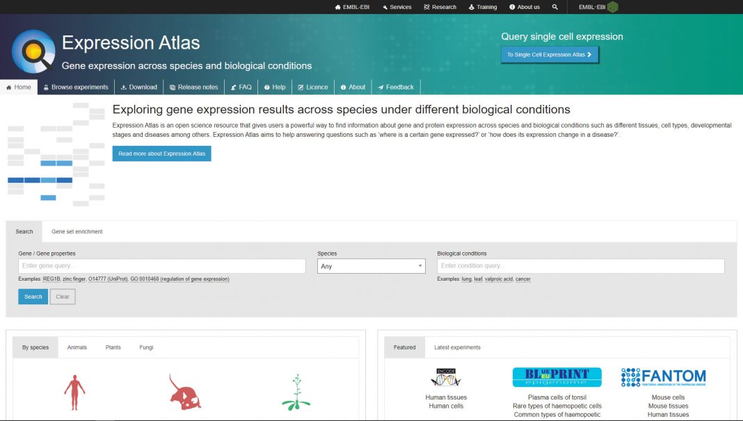 European Bioinformatics Institute Expression Atlas