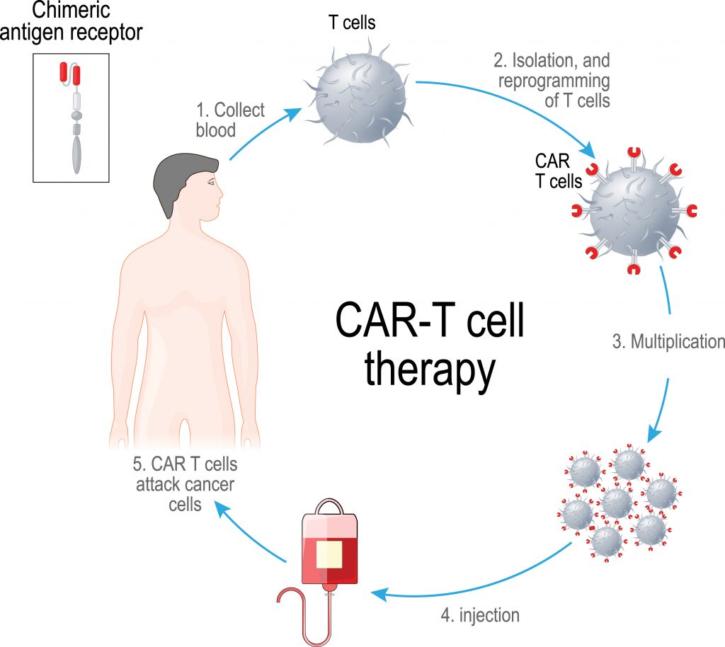 Ethical And Biosafety Oversight Of New CAR T-Cell Products