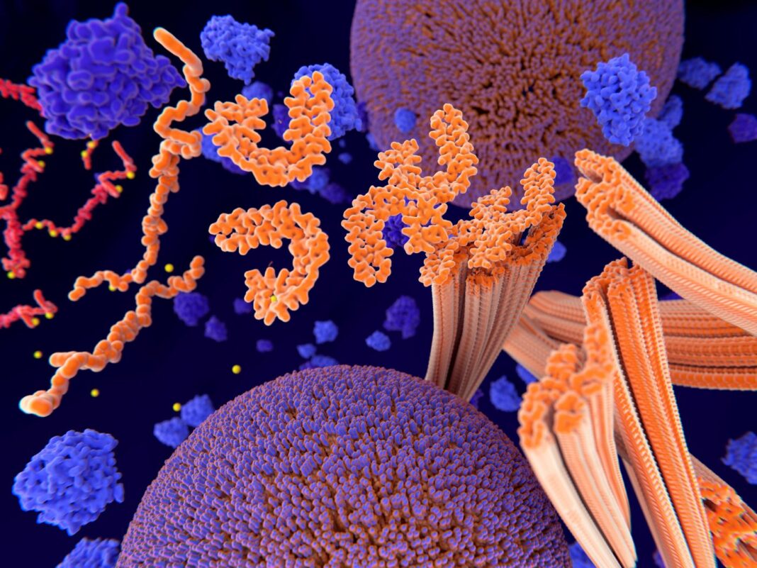 Tau protein in Alzheimer's disease, illustration