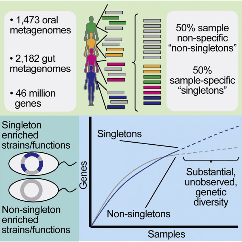 Human Microbiome Genetic Diversity Comparable To Number Of Stars In ...