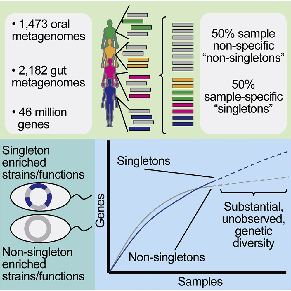 Microbiome Graphical Abstract