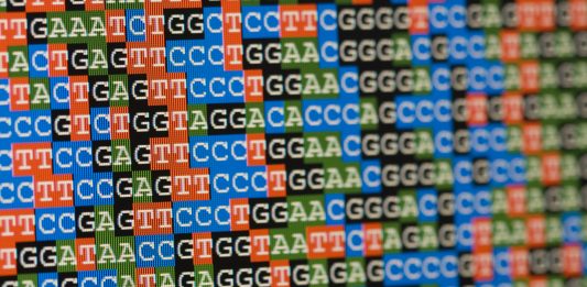 Unaligned DNA sequences as shown on an LCD screen