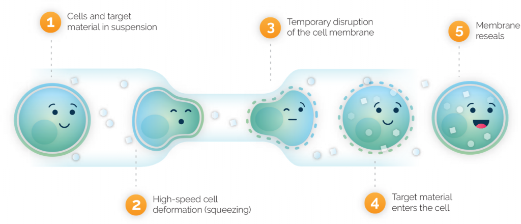 SQZ cell therapy platform